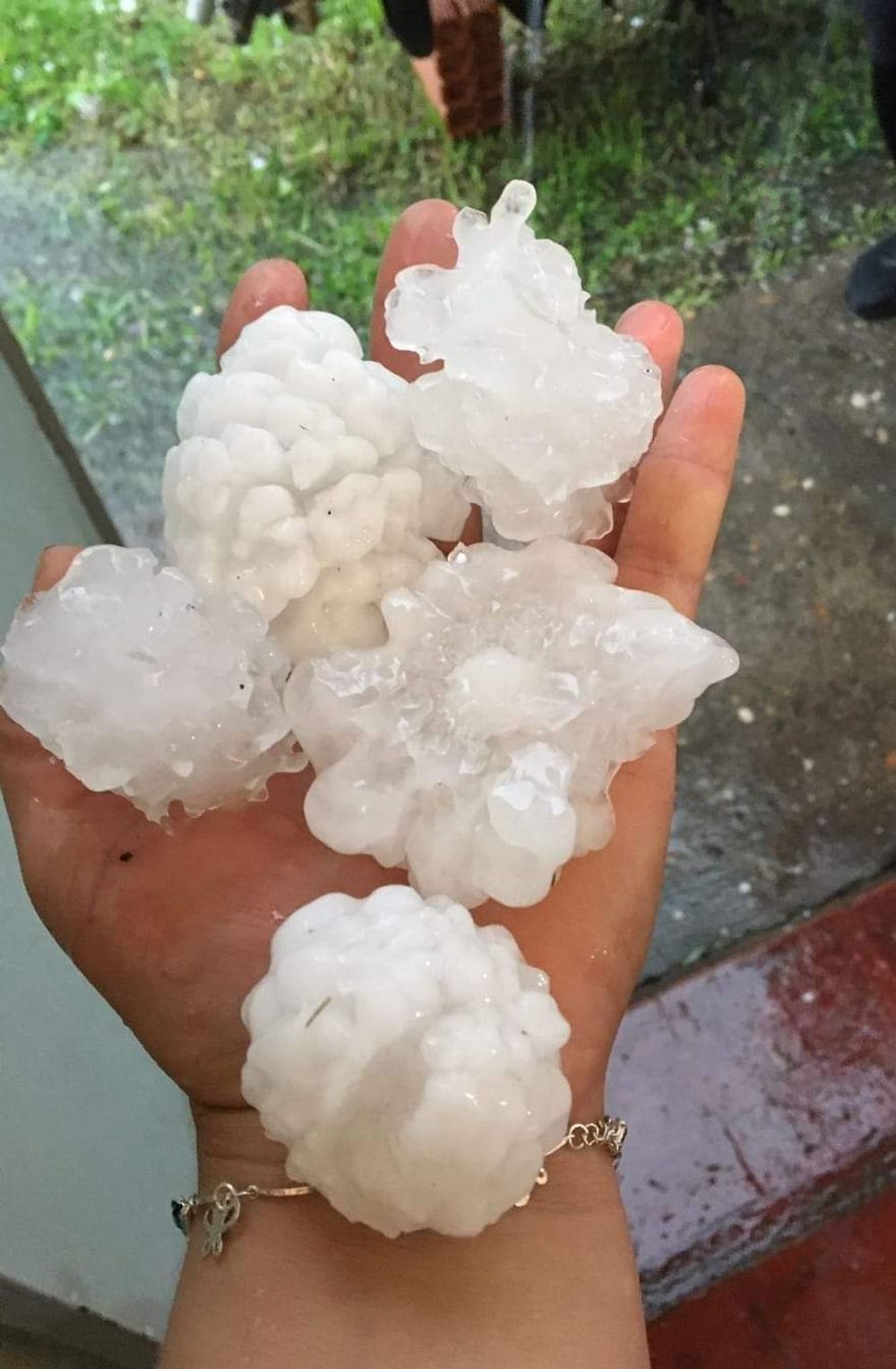 GYPi2UoWgAEEHUw.jfif