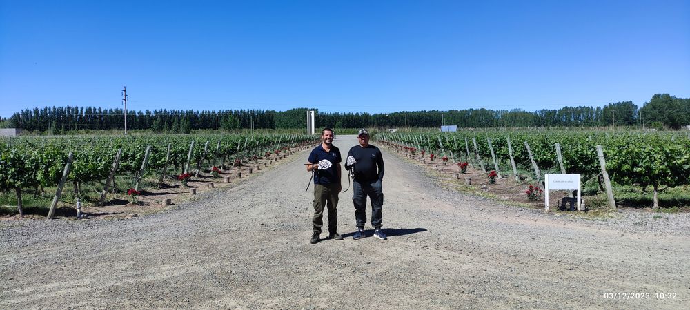 Bodega Malma, en Neuquen, Argentina.