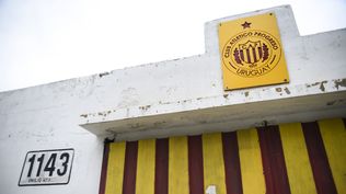 Parque Paladino