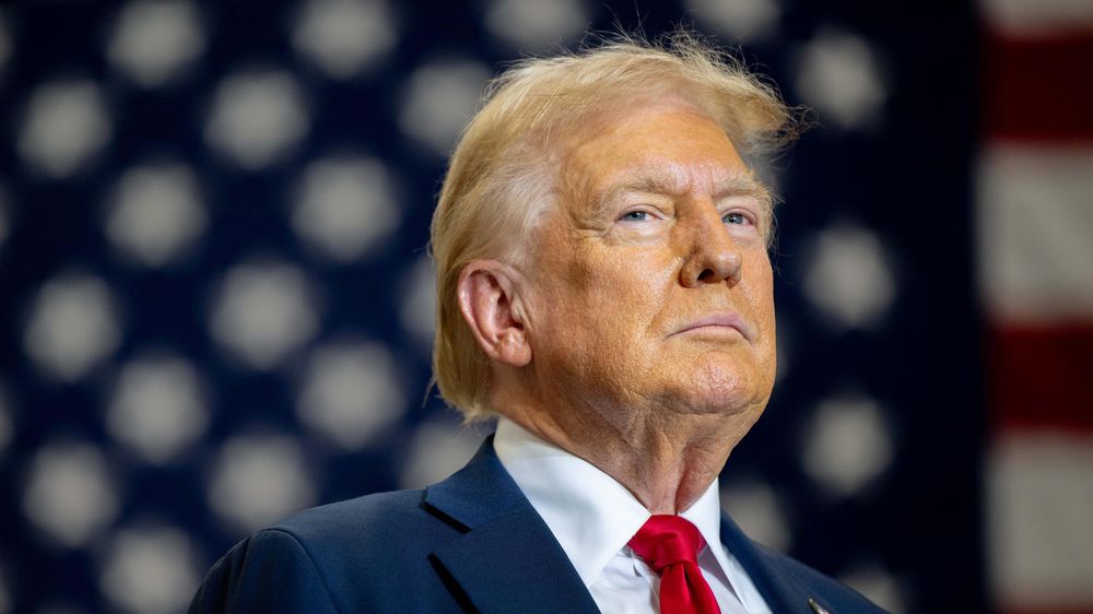 "Trump se adhiere a una mentalidad anterior a la Segunda Guerra Mundial", sostiene Heilbrunn