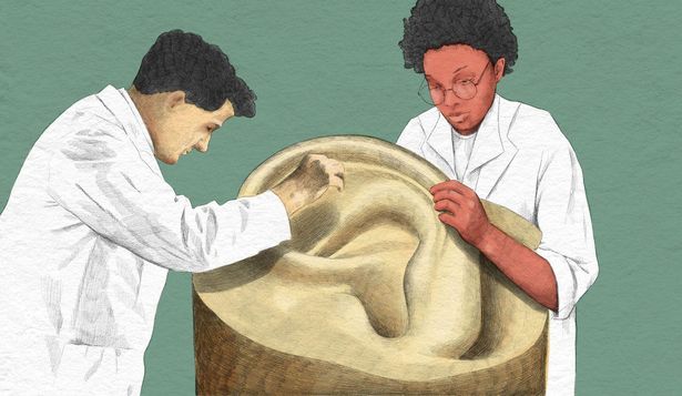 Qué puede revelar el cerumen sobre tu salud