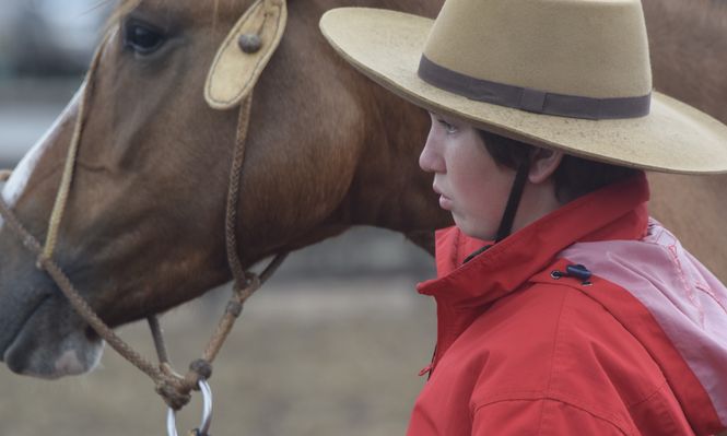 Producción equina, un tema de alto impacto en Uruguay.