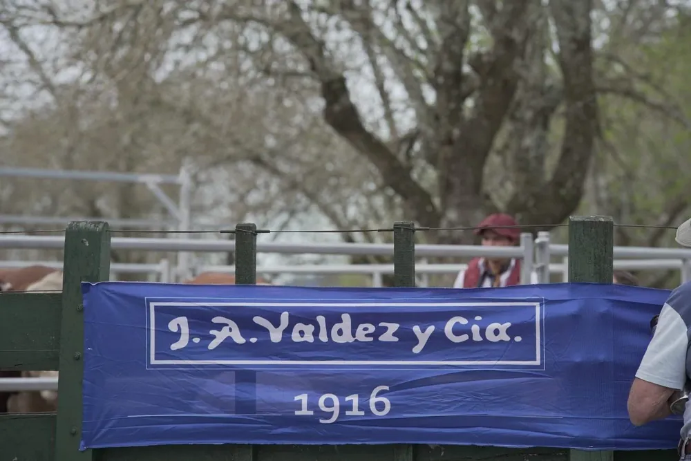 Ferias ganaderas de Valdez y Cía