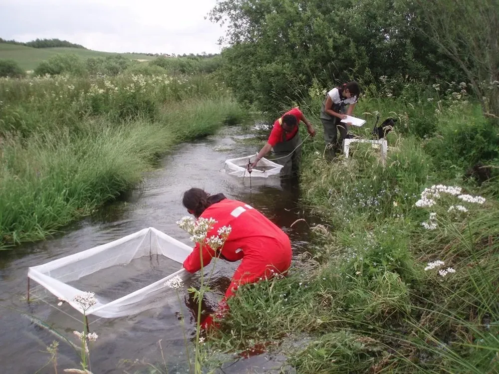 Llueve o truene, cada 15 días los científicos visitan los dos arroyos y lagos para tomar muestras