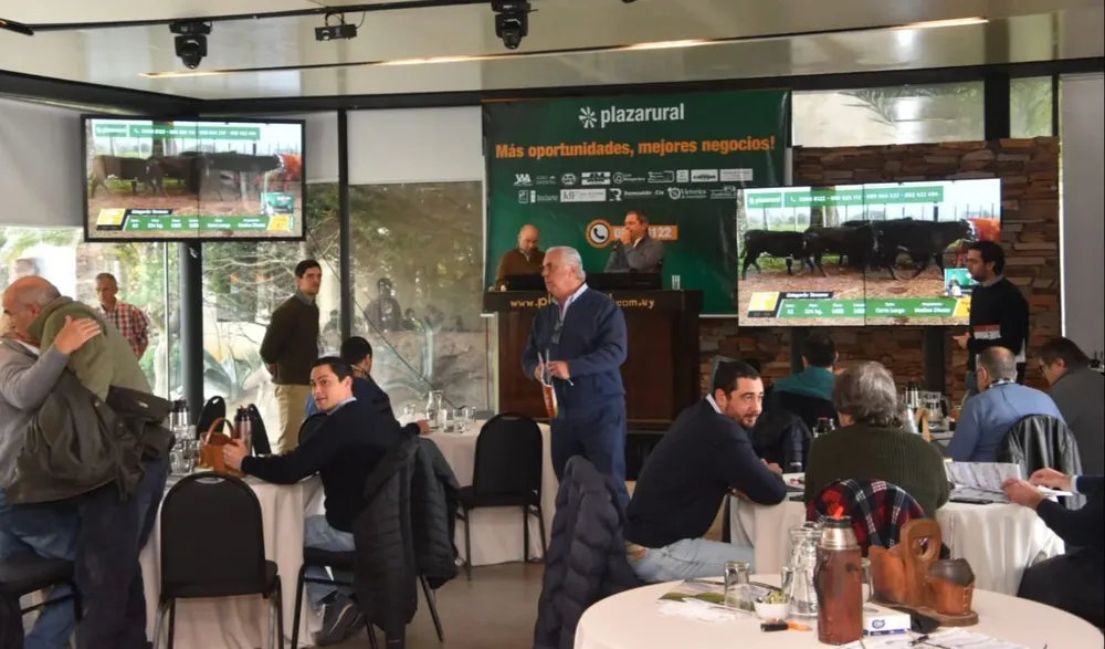 Plaza Rural volverá a rematar el 9 de diciembre en Punta del Este.