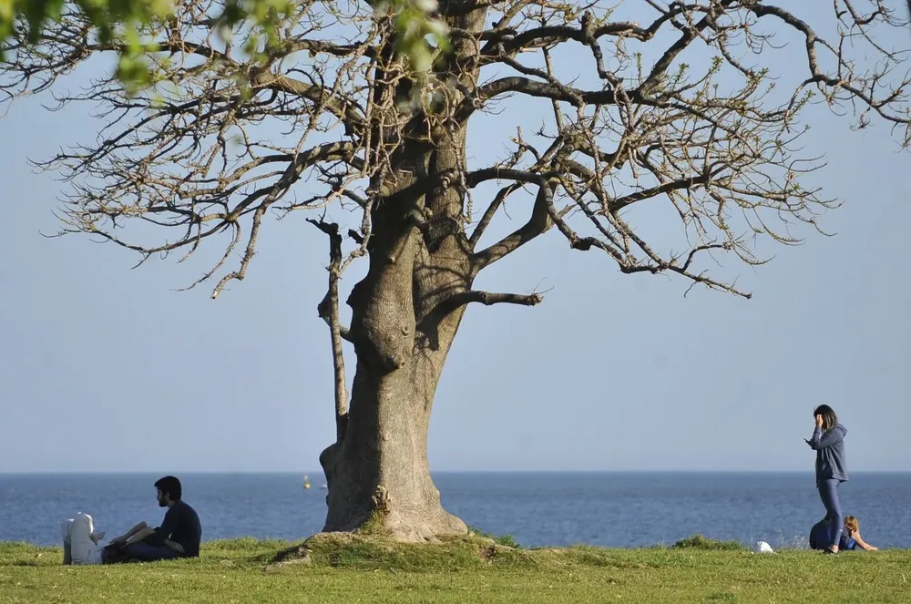 AccuWeather prevé un día soleado y una noche clara