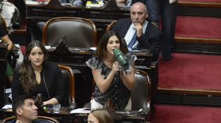 Interrumpir a un orador es de fascista, disparó con megáfono en mano Marcela Pagano contra Martín Menem en Diputados.