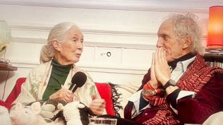 Jane Goodall y Boy Olmi.