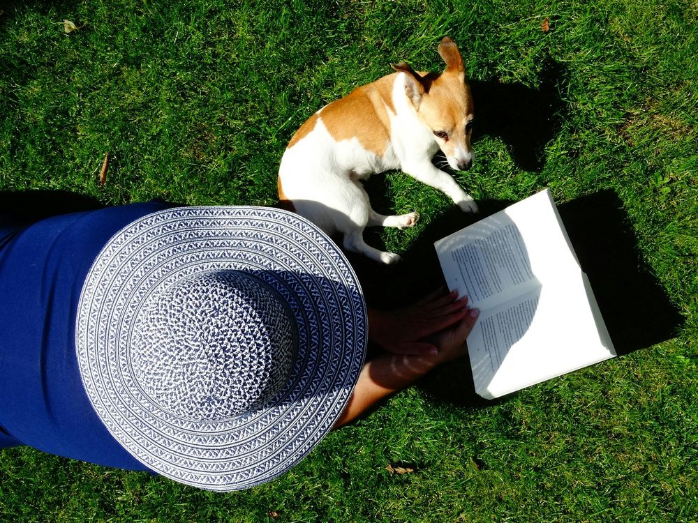 Tomar medidas preventivas protege a tu mascota y reduce visitas a la clínica veterinaria. &nbsp; &nbsp; &nbsp;