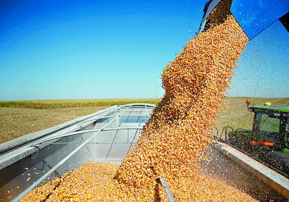 La abundancia de granos continúa en EEUU