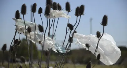 El Observador | 0002199166.webp