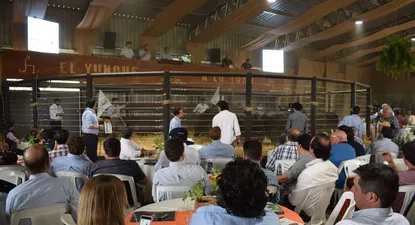 el yunque, de la mano de megaagro, concreto un remate memorable