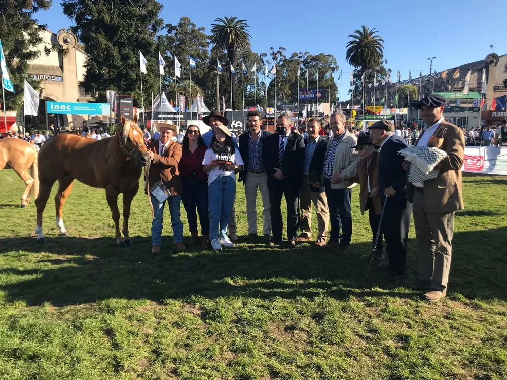 El Gran Campeón, de Don Fermín.