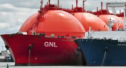 Capricho ideológico vs todas pavadas: recrudece la polémica tras la decisión de YPF y Petronas por la megainversión más importante de los últimos años