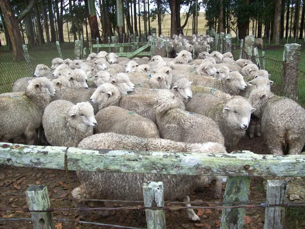 La SPF y el SUL firmaron un acuerdo de colaboración.