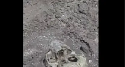 El Observador | 1704840609674.webp