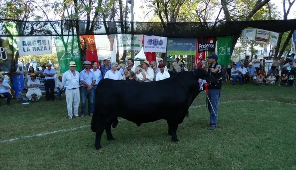 El Gran Campeón expuesto por La Santina