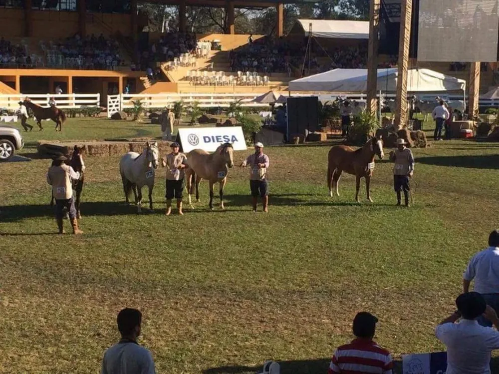 Constancia Natilla (segunda de izquierda a derecha) fue la Gran Campeona