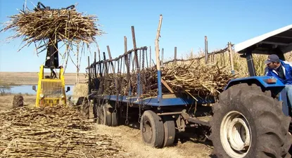 La zafra de 2021 fue la mejor desde 1970.