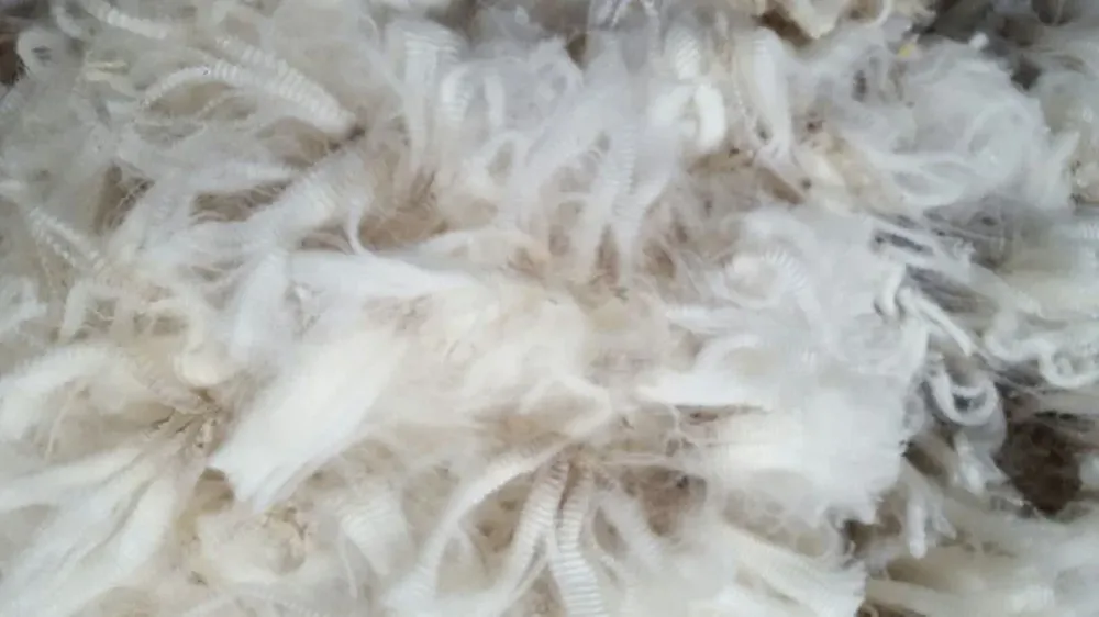 La lana es el principal producto del rubro ovino