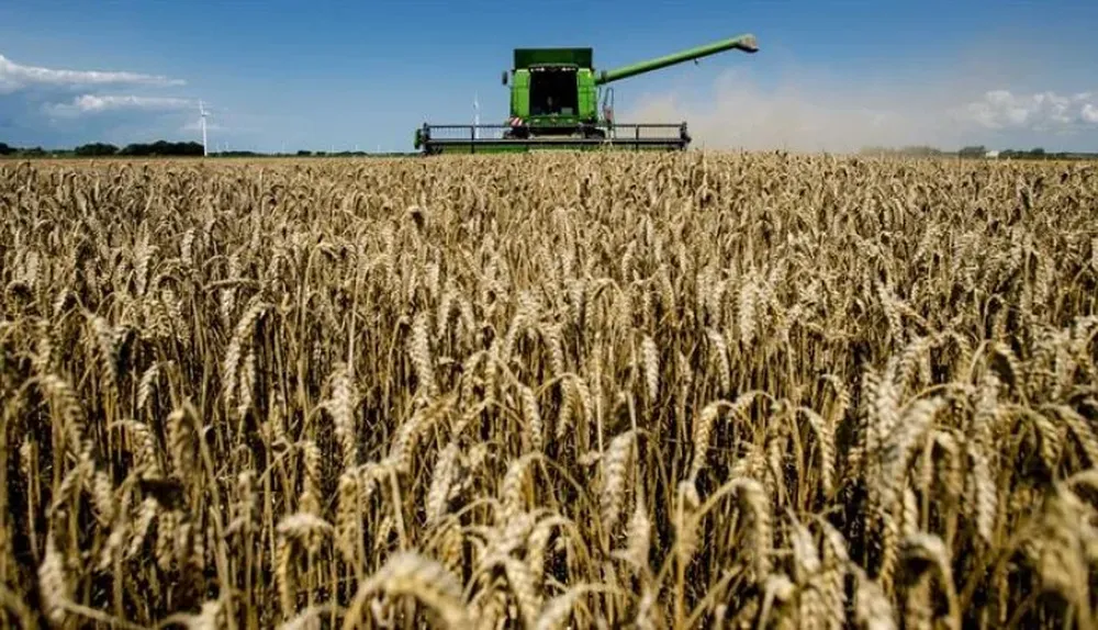 Holanda. Una cosechadora surca los campos de Swiftebrant tempranamente debido a fuertes lluvias