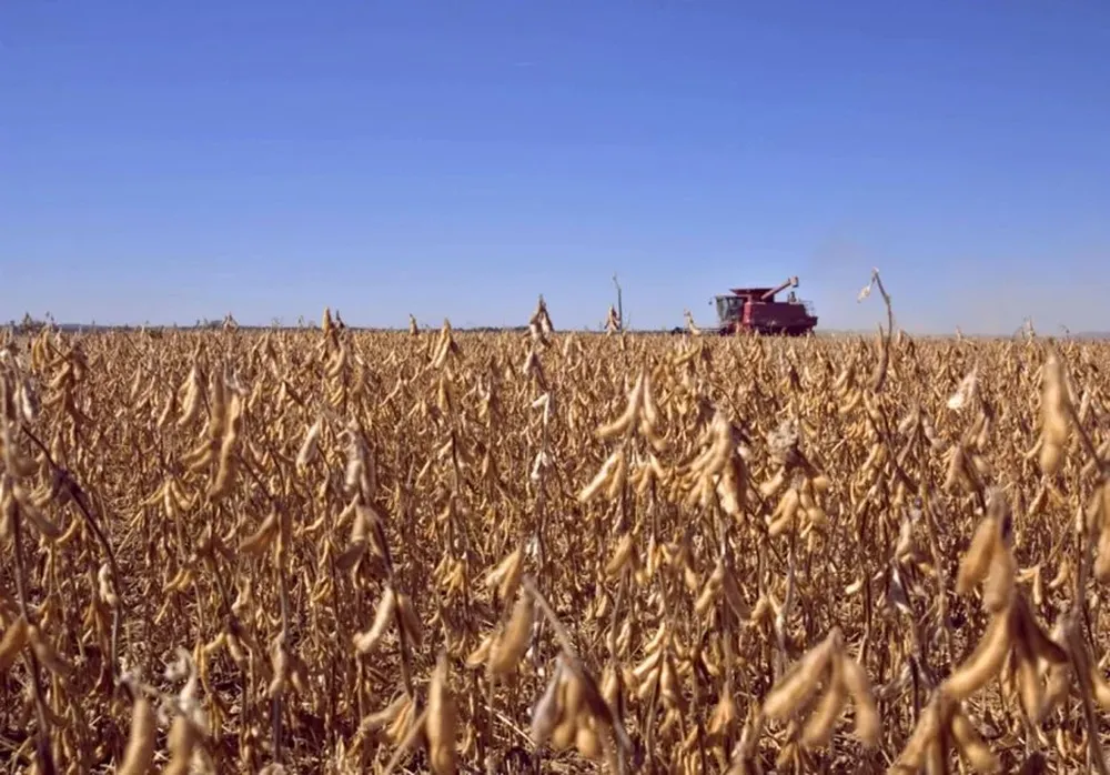 Habrá una App para seguir el ciclo del cultivo de soja y generar información