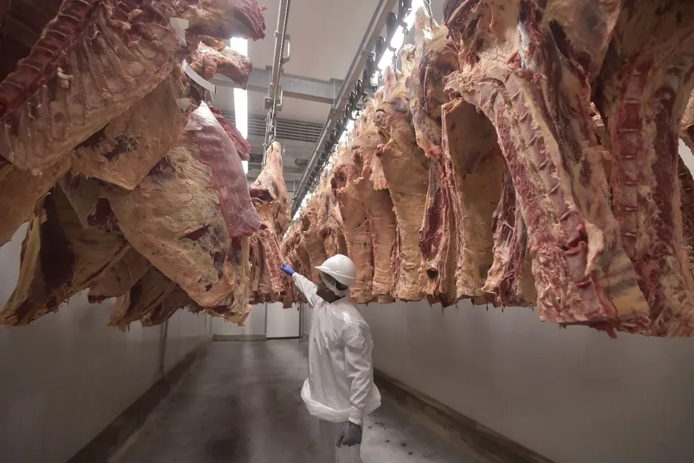 El crecimiento de la faena muestra una lógica propensa a retener vientres y una tendencia muy fuerte a la intensificación del engorde de novillos.