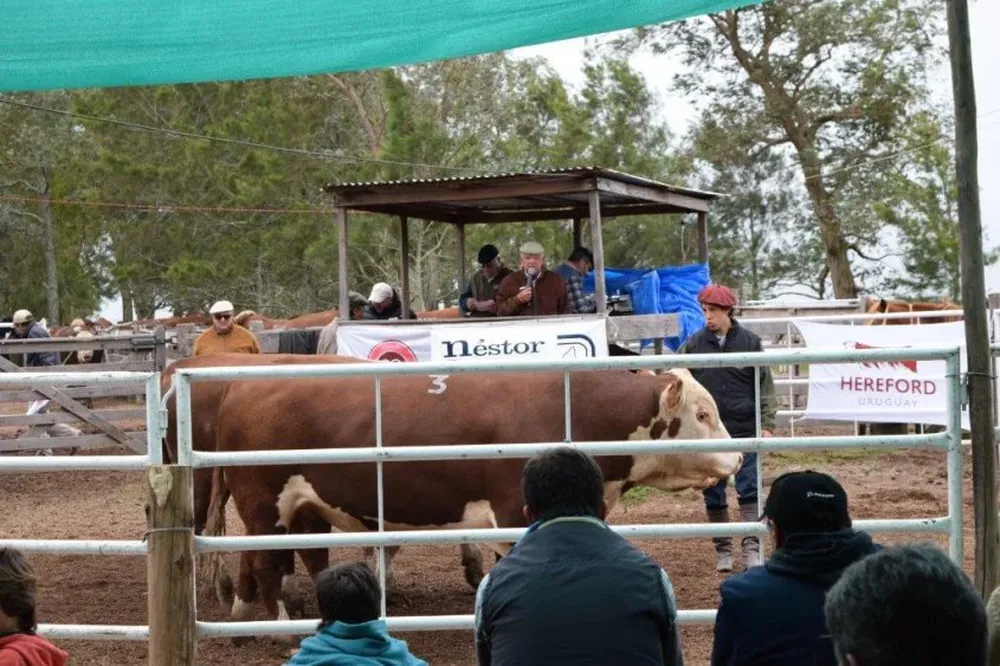 Remató el escritorio Néstor Birriel Cal