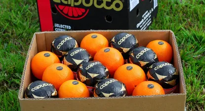 Frutura tiene previsto realizar una “inversión significativa” en todos los eslabones de la compañía en Uruguay.