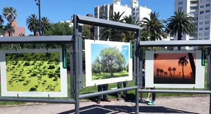 fotogaleria sobre campo natural y sus servicios ecosistemicos