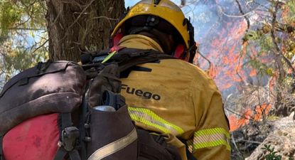 En medio de los incendios que sufre la Patagonia, se pone especial atención a las inversiones en ambiente y el servicio de manejo del fuego.