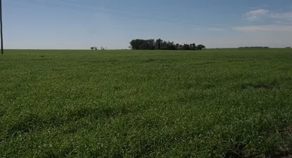 El Observador | Praderas uruguayas