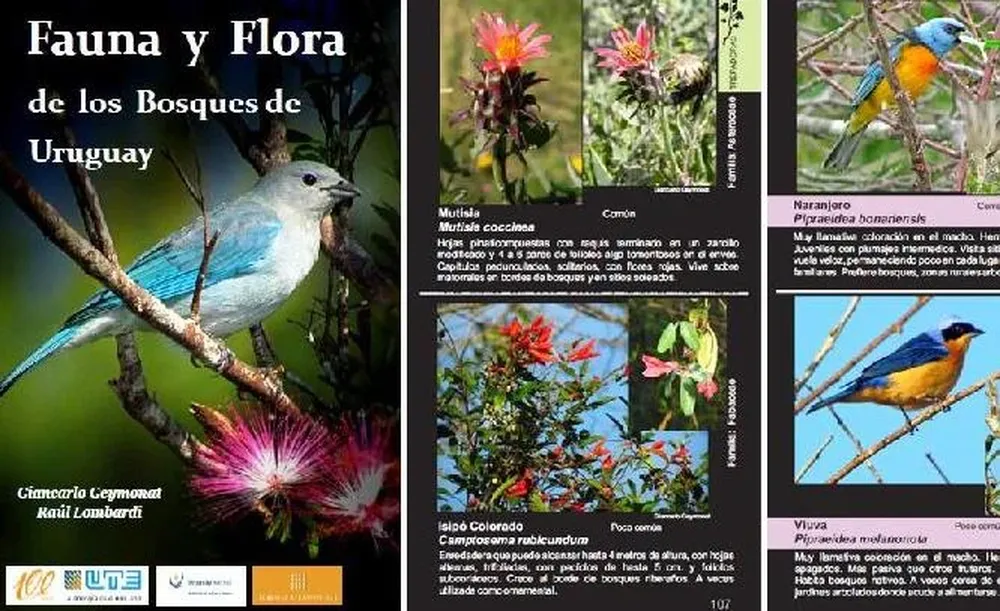 La guía fotográfica Fauna y flora de los bosques de Uruguay está disponible en librerías del país a $ 650