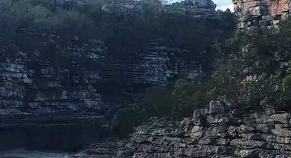 El Observador | 0020137472.webp