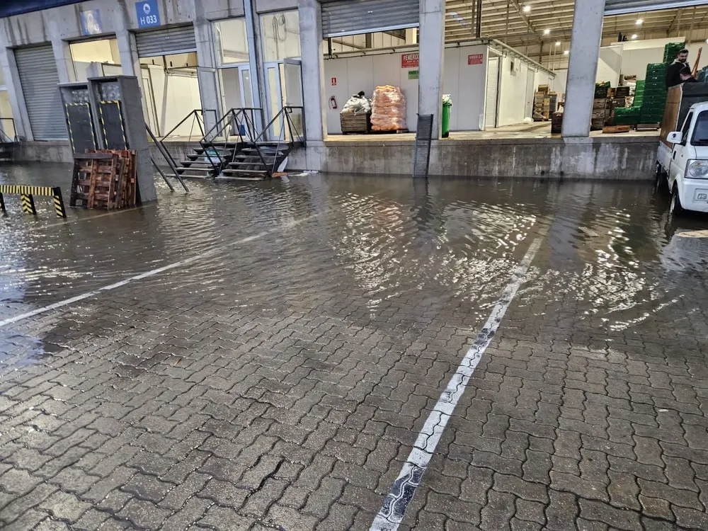 Foto obtenida este jueves 17 de agosto de 2023.