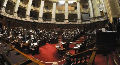 mpp propone que legisladores presenten boletas de sus viajes