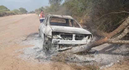 Así quedó el auto del hombre atacado por abejas, tras el choque fatal.
