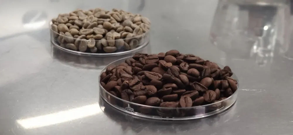 Café verde utilizado como materia prima y el tradicional café tostado