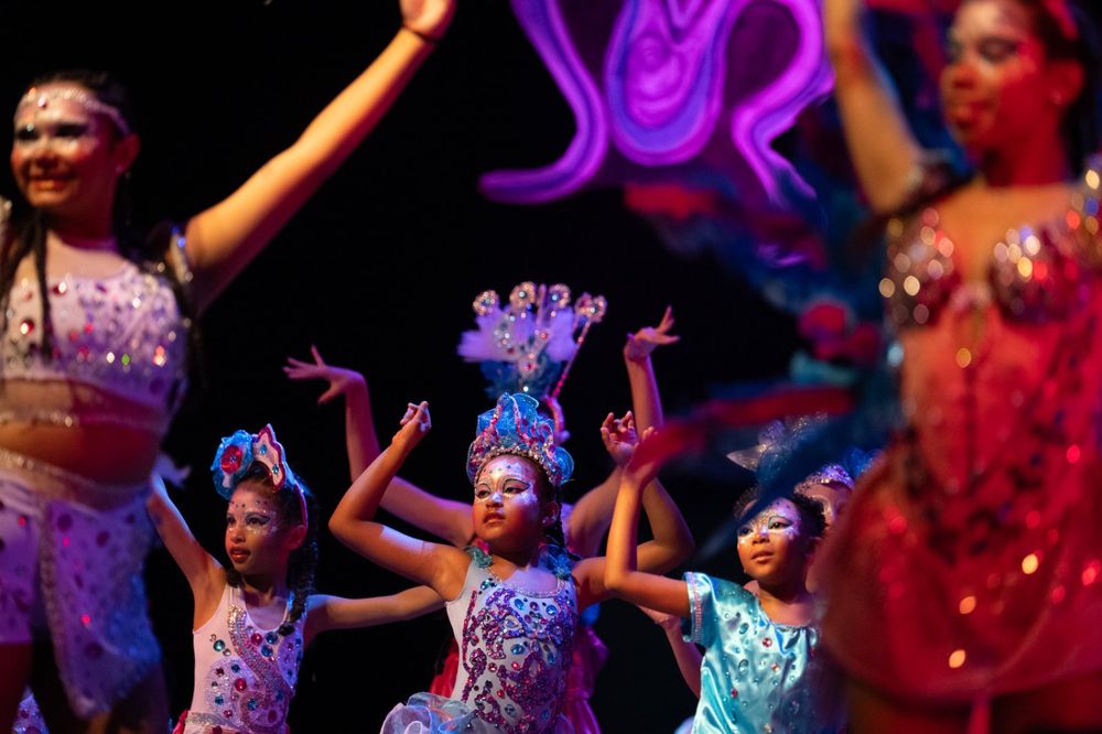 Carnaval de las Promesas 2025-2026.