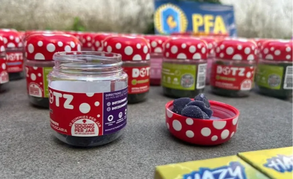 El material incautado en los allanamientos