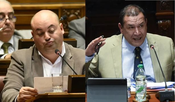 Nicolás Viera y Sebastián da Silva, senadores de la República