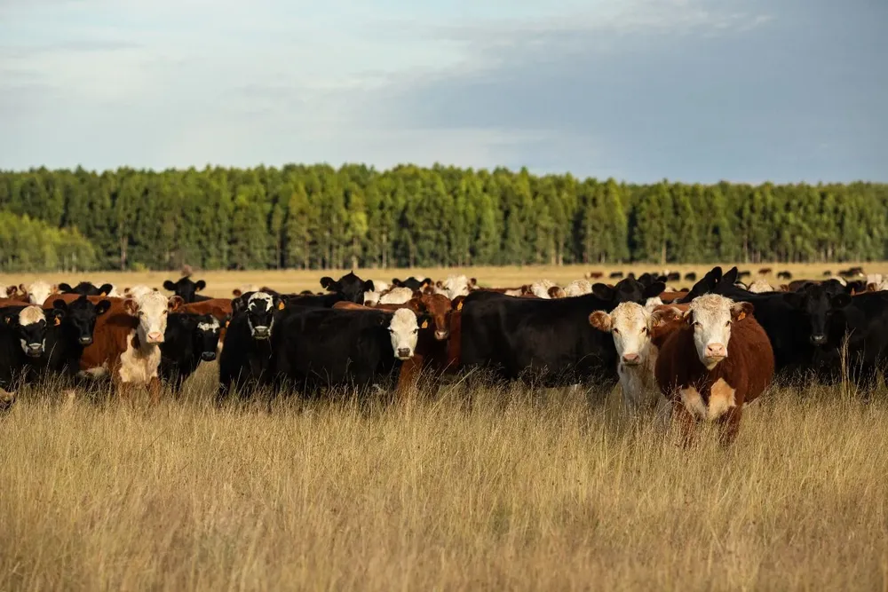 Producción sostenible, un objetivo clave en estos tiempos.