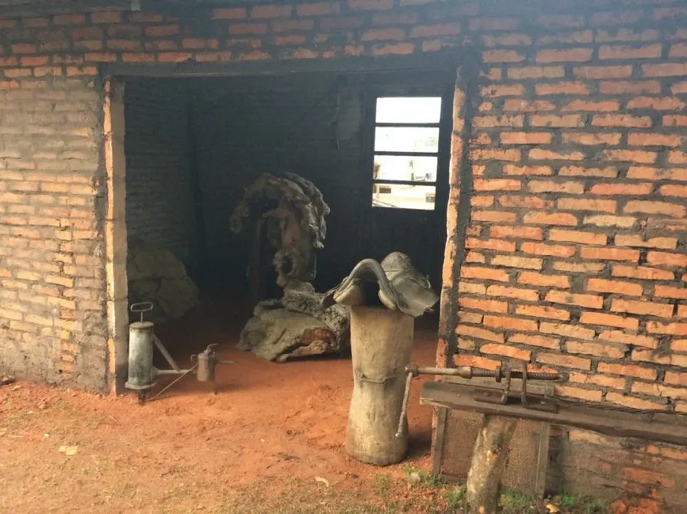 La Patria Gaucha homenajea al esquilador: recreación de un galpón de esquila.
