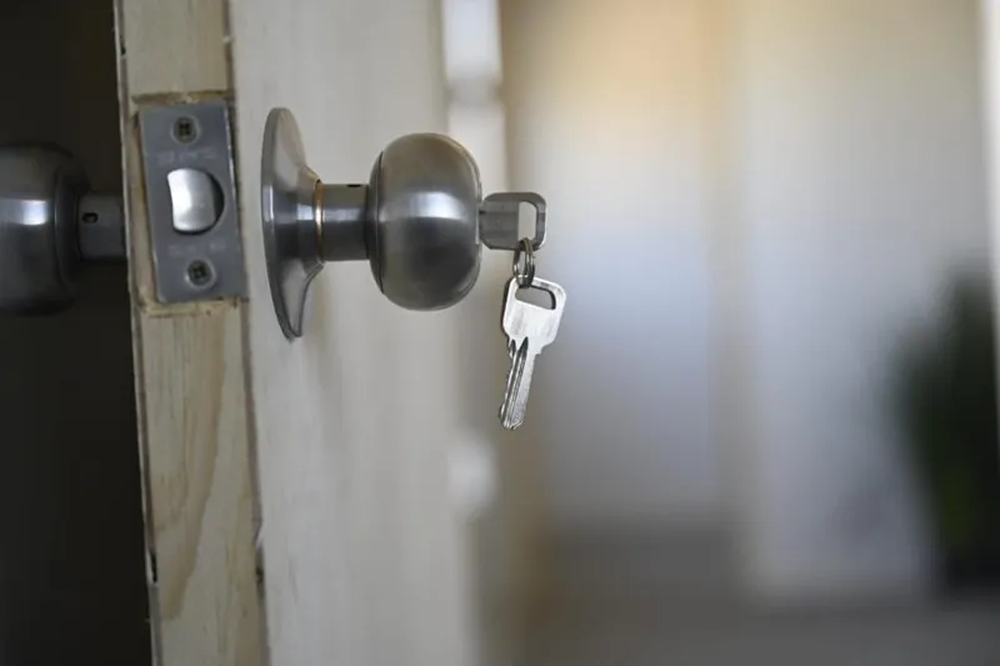 whatsapp-image-2025-03-20-at-140730-1jpeg