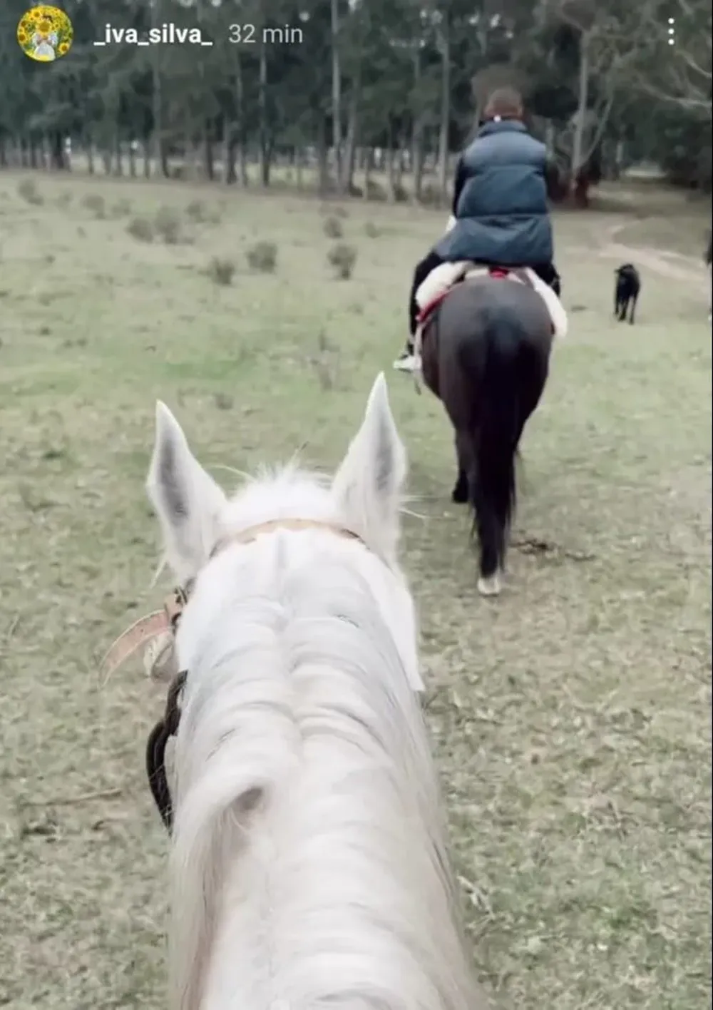 Domingo de cabalgata