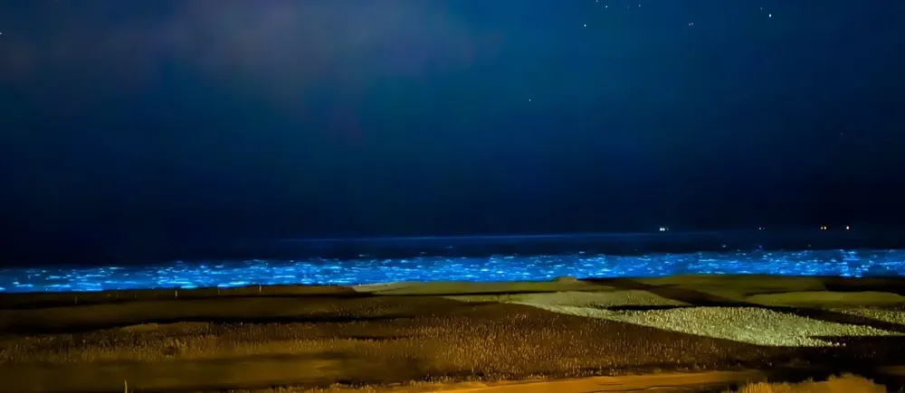 Una usuaria de Twitter fotografió las noctilucas en Punta Negra, que generan un color rojizo en el día