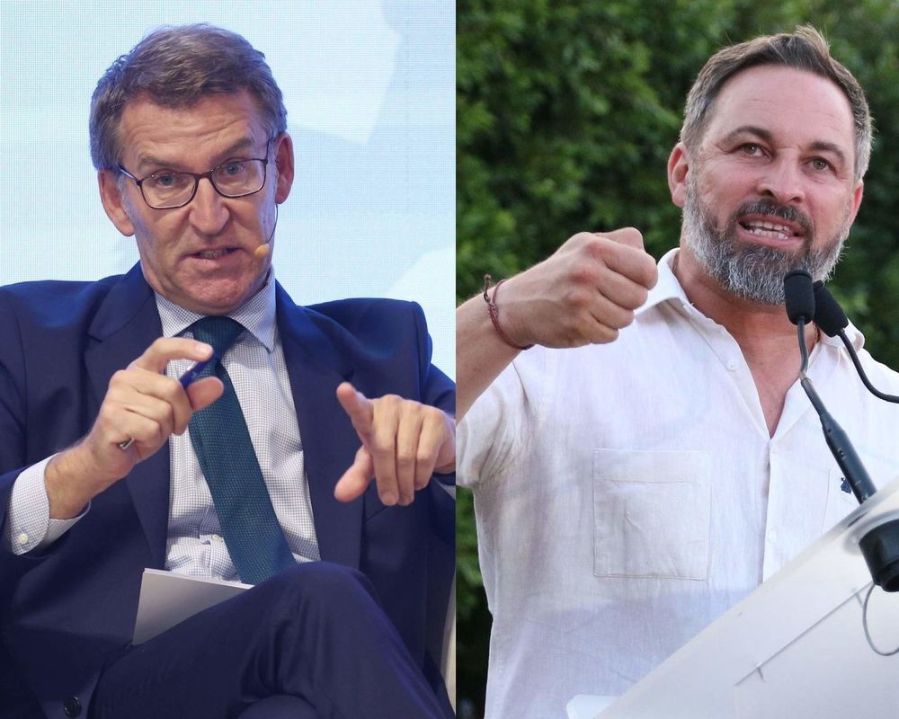 Alberto Núñez Feijóo y Santiago Abascal