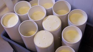 Lactalis se expande en Uruguay al comprar un tradicional complejo industrial lácteo