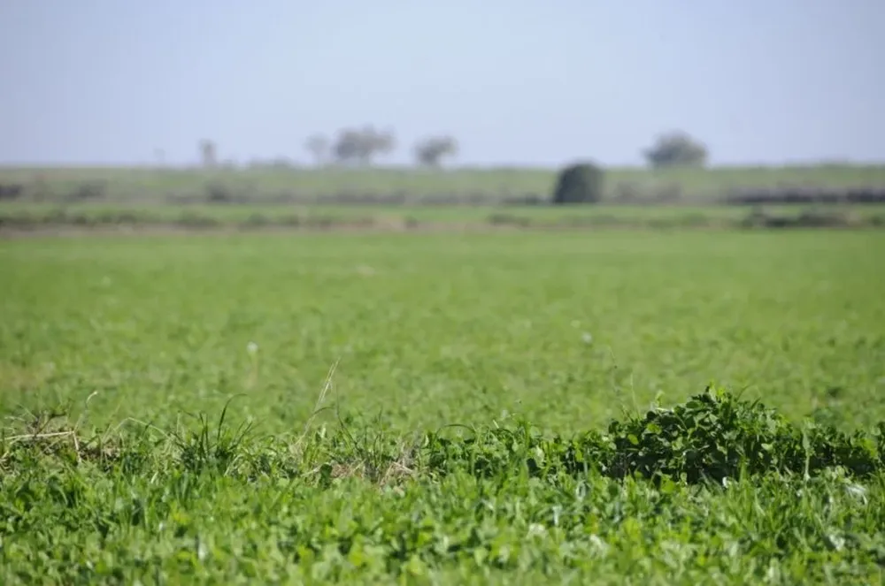 La tierra en EEUU se valorizó, aunque dentro de una tendencia estable de precios