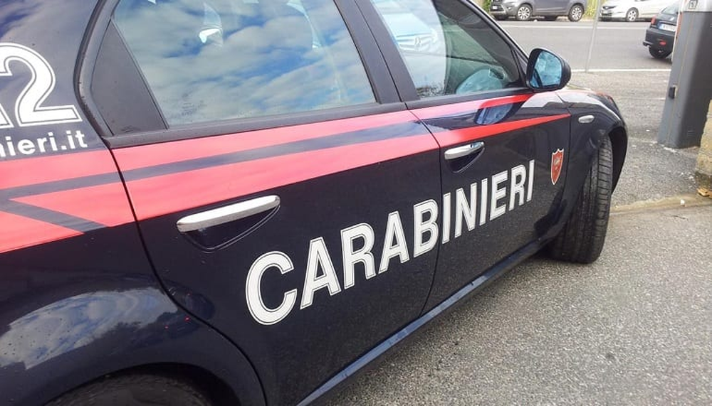 La policía italiana detuvo a una pareja que intentaba ingresar ilegalmente un bebé a Italia.